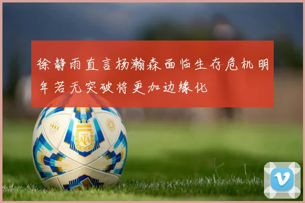 徐静雨直言杨瀚森面临生存危机明年若无突破将更加边缘化